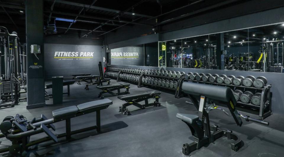 BSM FITNESS BSM FITNESS